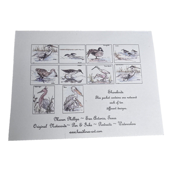 Hand painted Greeting Cards Shore Birds Cards Ink & Watercolor Signed 9 Blank - Picture 11 of 16